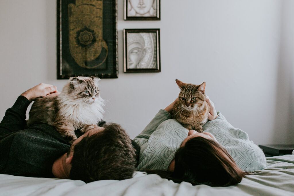 couples and cats engagement photos