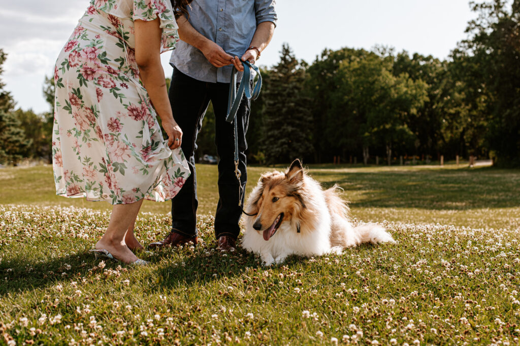 Couples Photo Session with Pets in Winnipeg
