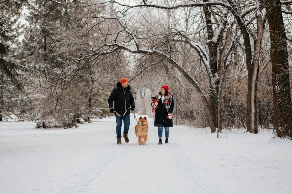 couple walking in the snow with their dogs for winter engagement session 