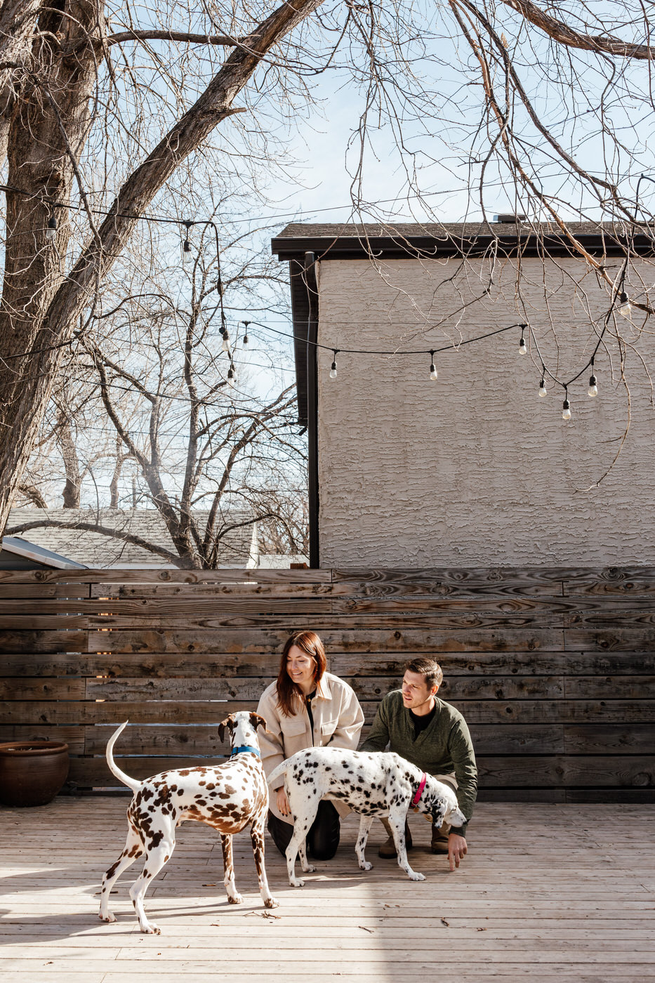 Winnipeg Pet Photography at Home